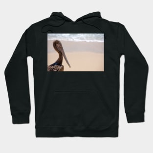 Brown Pelican Hoodie